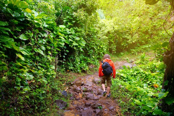 Touristische Wanderungen auf dem berühmten Kalalau-Pfad — Stockfoto