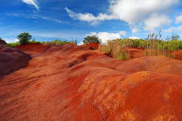 Terra rossa del Waimea Canyon — Foto Stock