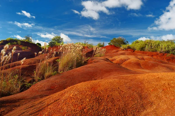 Suciedad roja del cañón de Waimea — Foto de Stock