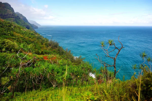 Kalalau trail längs Na Pali coast — Stockfoto