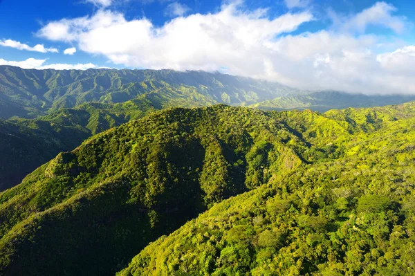 Schilderachtig uitzicht van spectaculaire jungle — Stockfoto