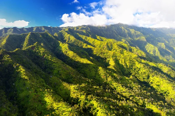 Schilderachtig uitzicht van spectaculaire jungle — Stockfoto