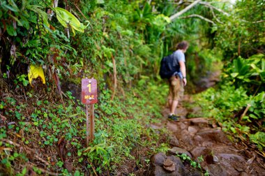 tourist hiking on famous Kalalau trail  clipart
