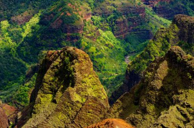 Waimea Canyon içine çarpıcı görünümü 