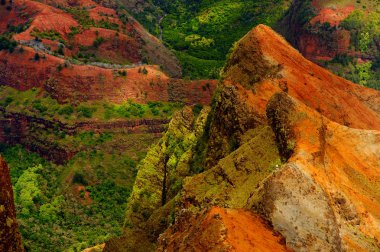 Waimea Canyon içine çarpıcı görünümü 