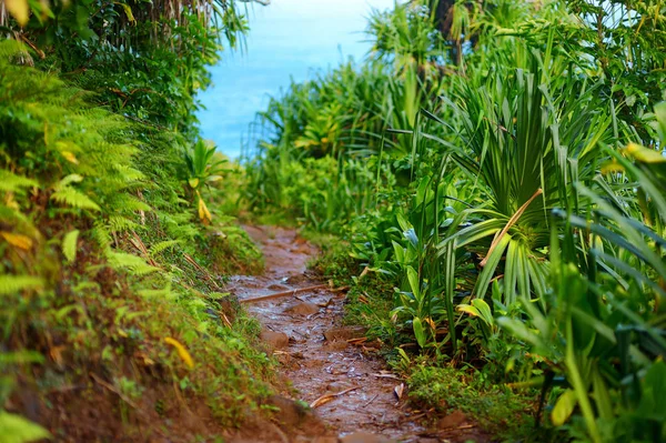 Kalalau weg entlang der na pali küste — Stockfoto