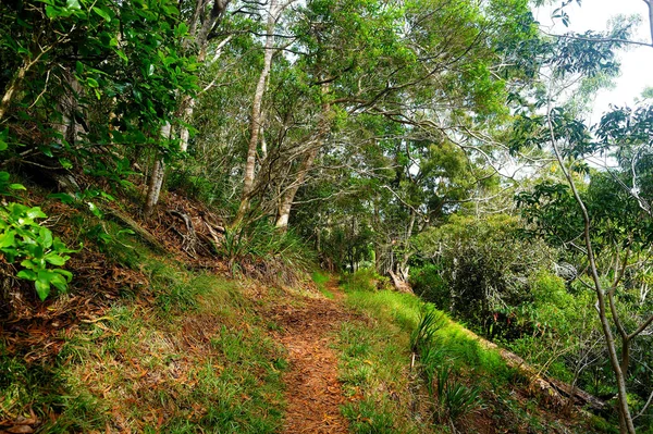 Kalalau trail langs Na Pali kyst - Stock-foto