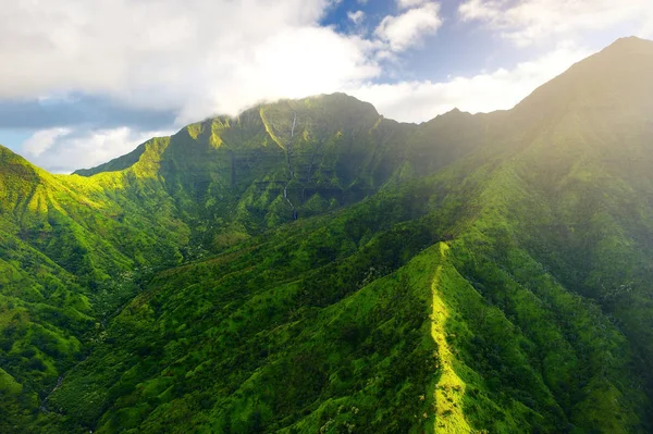 Vue pittoresque de jungles spectaculaires — Photo