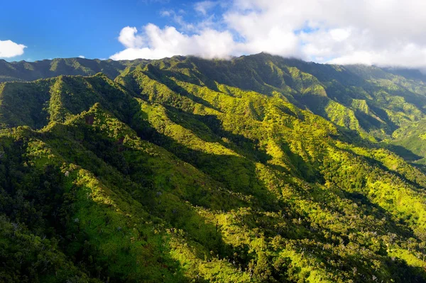 Picturesque view of spectacular jungles — Stock Photo, Image