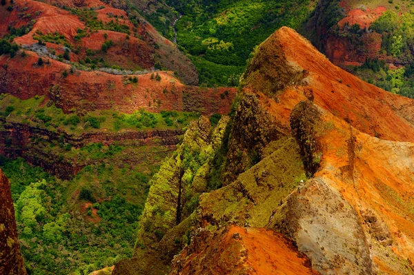 Waimea Canyon içine çarpıcı görünümü — Stok fotoğraf