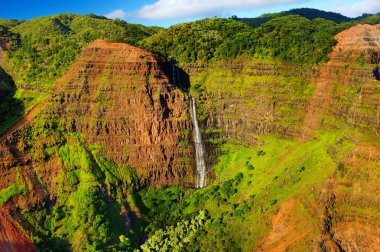 Waimea Canyon içine çarpıcı görünümü 