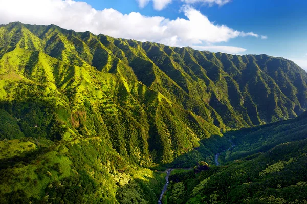 Picturesque view of spectacular jungles — Stock Photo, Image