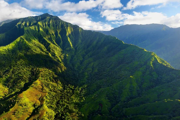 Schilderachtig uitzicht van spectaculaire jungle — Stockfoto