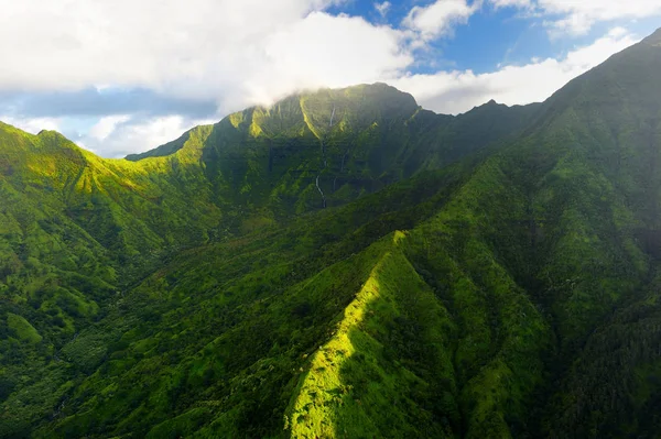 Vue pittoresque de jungles spectaculaires — Photo