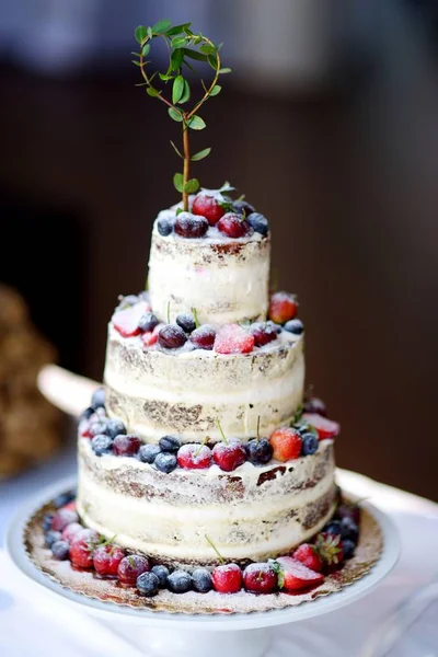 Délicieux gâteau de mariage au chocolat — Photo