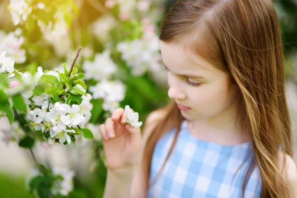 Flicka i blommande apple trädgård — Stockfoto