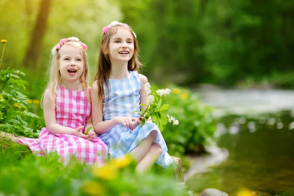 Zwei entzückende kleine Schwestern spielen an einem Fluss — Stockfoto