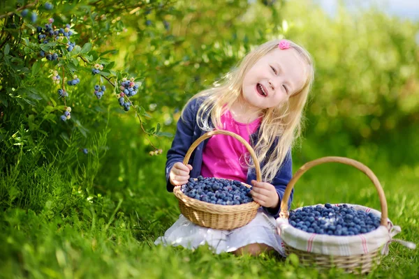 Bonito menina colhendo frutas frescas — Fotografia de Stock