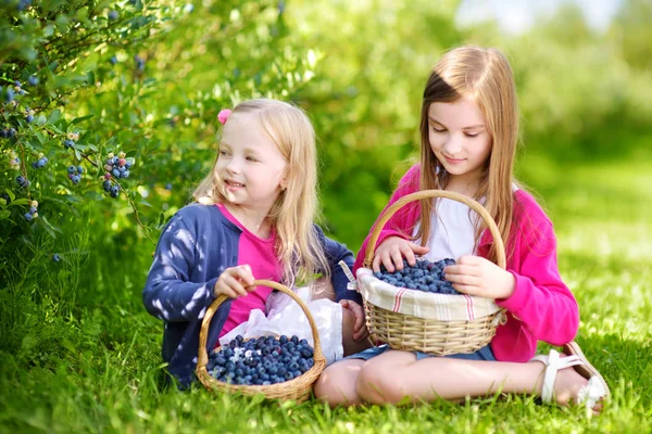 Cute little sisters picking fresh berries — Stock Photo, Image