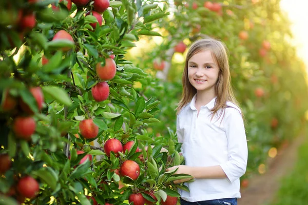 Schattige kleine meisje plukken appels — Stockfoto