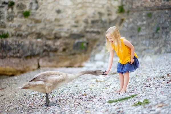 Adorável menina alimentando cisne jovem — Fotografia de Stock