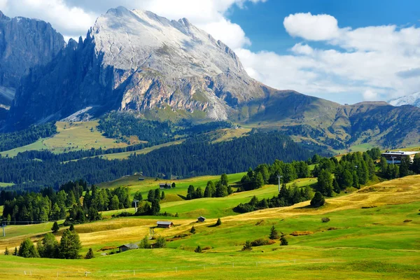 Alpine meadow in Italy — Stock Photo, Image