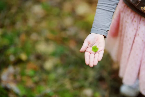 Çocuğun el ahşap kuzukulağı yaprak ile — Stok fotoğraf