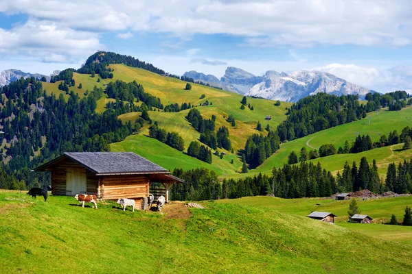 Alpejska łąka w Włochy — Zdjęcie stockowe