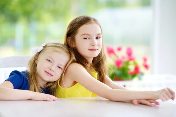 Dos monas hermanitas en casa —  Fotos de Stock