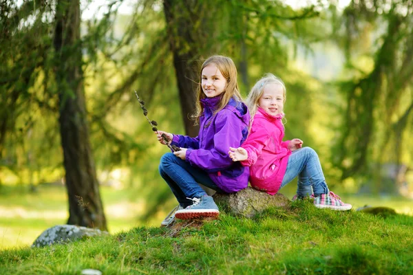 Två små flickor i skogen — Stockfoto