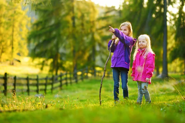 Twee kleine meisjes in bos — Stockfoto