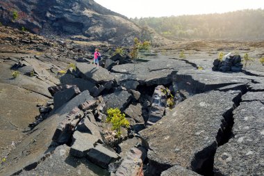 Kilauea Iki yanardağ krater