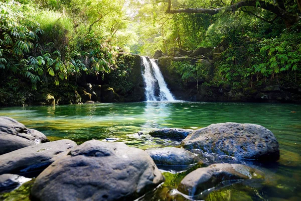 Lagere Waikamoi Falls — Stockfoto