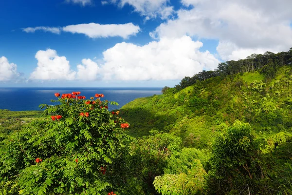 Северное побережье Мауи — стоковое фото