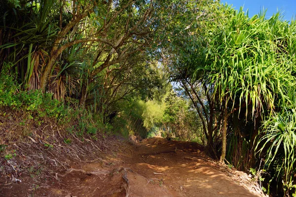 Sentier de boucle Pololu à Hawaï — Photo