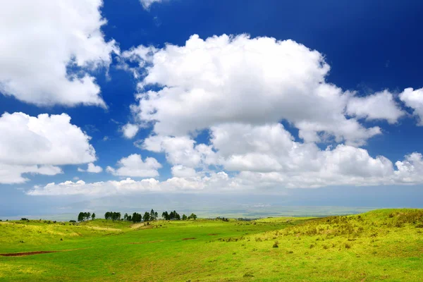 緑の野原とマウイ島風景 — ストック写真