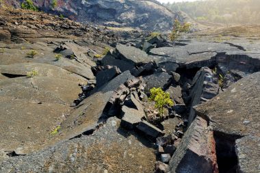 Kilauea Iki yanardağ krater