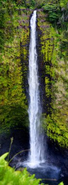 Akaka Falls waterfall  clipart