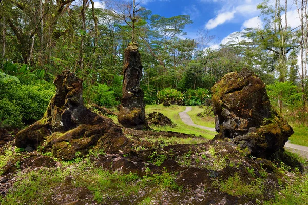 Lava formar av trädstammar — Stockfoto