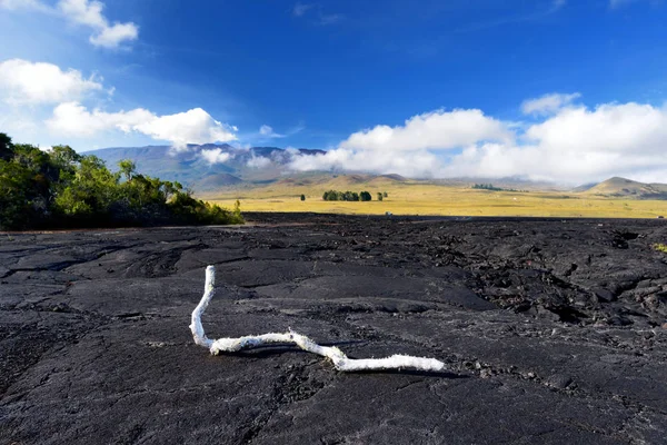 Superficie ruvida di lava congelata — Foto Stock