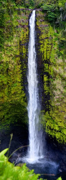 Akaka falls vattenfall — Stockfoto