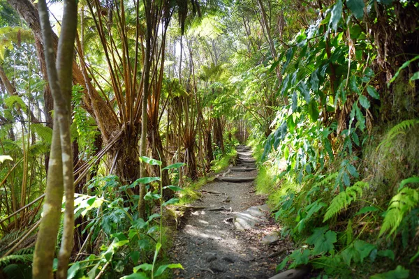 Volcanoes National Park — Stock Photo, Image