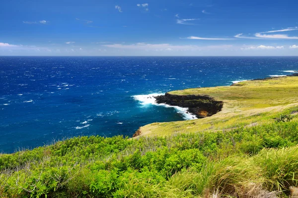 Южный Большой остров Гавайев — стоковое фото