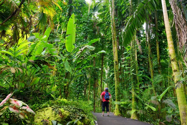 Tourist admiring tropical vegetation — Stock Photo, Image