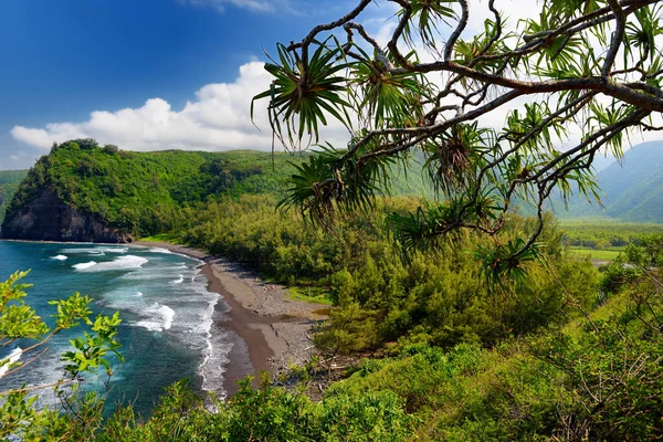 Playa rocosa del valle de Pololu — Foto de Stock