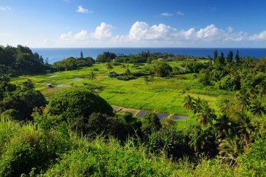 Maui Kuzey kıyısında 