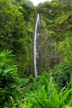 Waimoku Falls şelale 