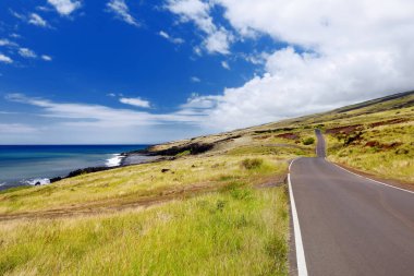 Güney Maui güzel manzara