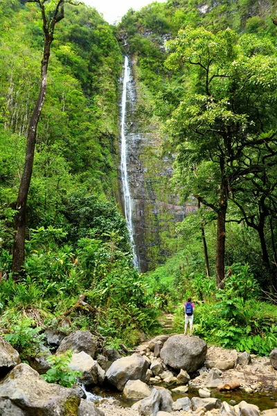 Cascada de Waimoku Falls —  Fotos de Stock