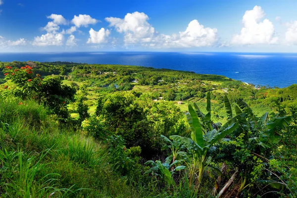 Maui Côte nord — Photo